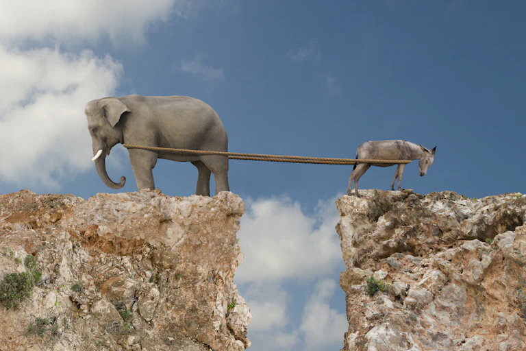 In a photo illustration, an elephant and donkey are seen playing tug-of-war over a canyon.