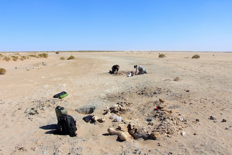Photo of two people digging in a plain of dried mud.