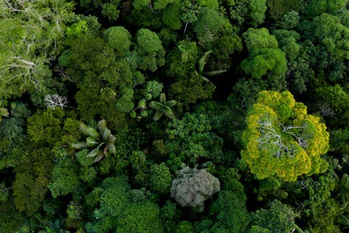 Wondering what Australia might look like in a hotter world? Take a glimpse into the distant past
