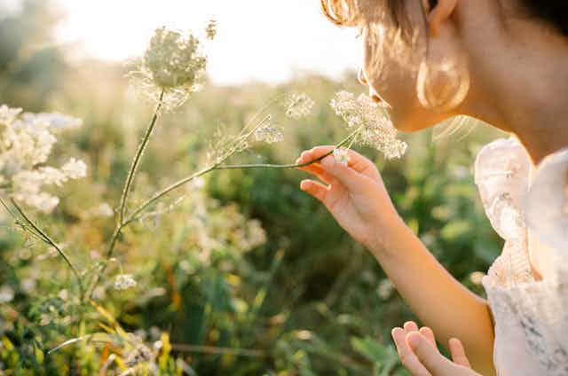 Little girl smells wild flowers in meadow