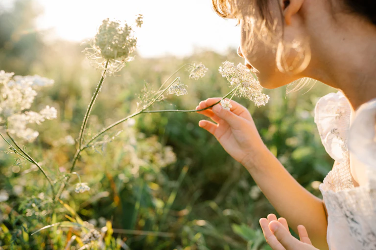 Little girl smells wild flowers in meadow