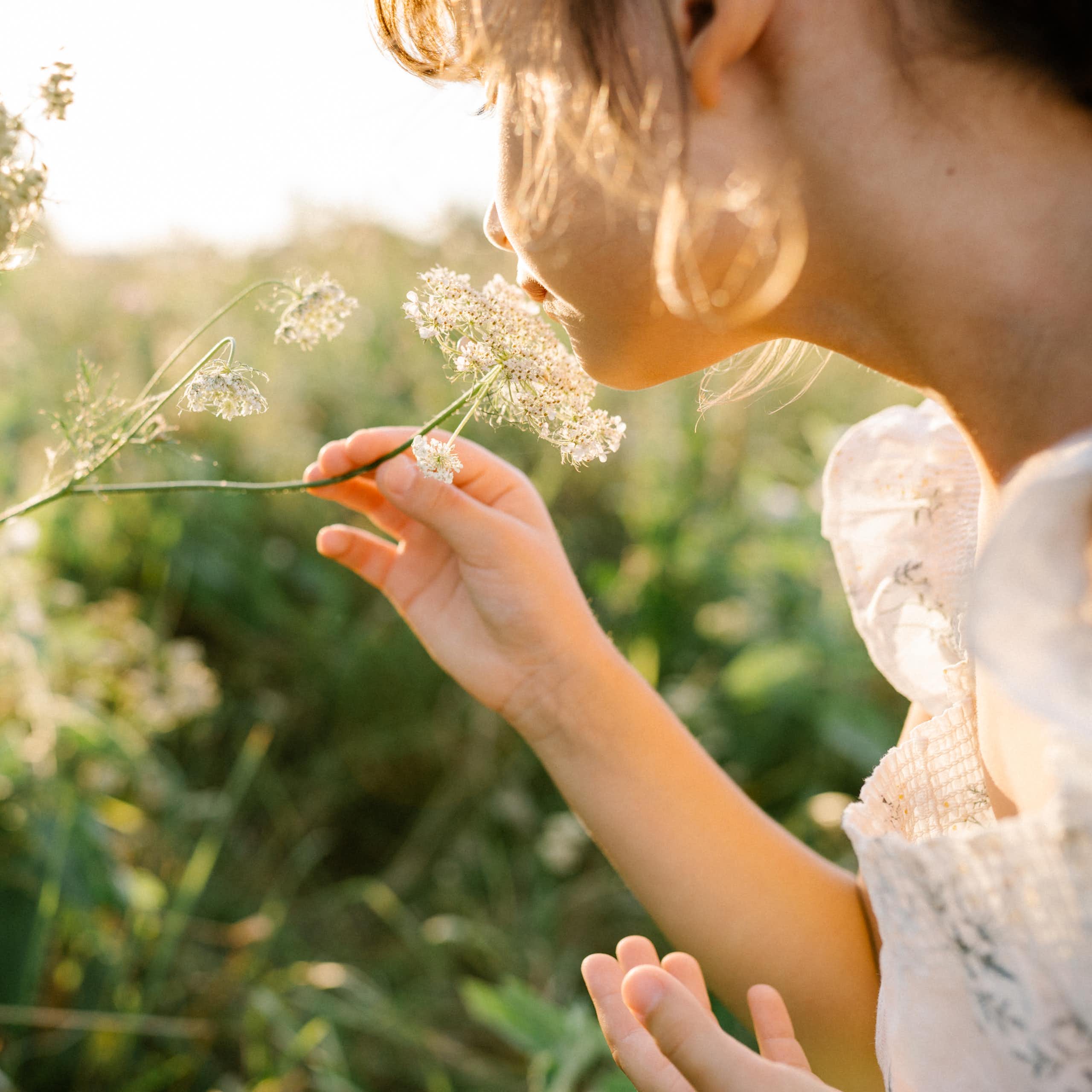 Little girl smells wild flowers in meadow