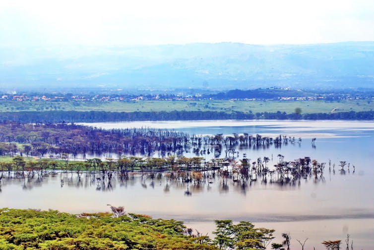 Aerial shot of flooded lake shore