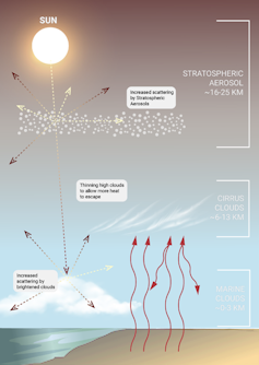 A figure illustrating the main forms of SRM.