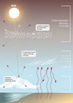 A figure illustrating the main forms of SRM.