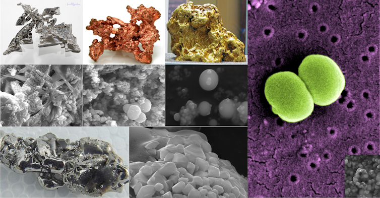 Biosynthesis and nanoparticles to battle precision towards micro organism and illnesses 3 file 20240415 16 qluqc2.png?ixlib=rb 4.1
