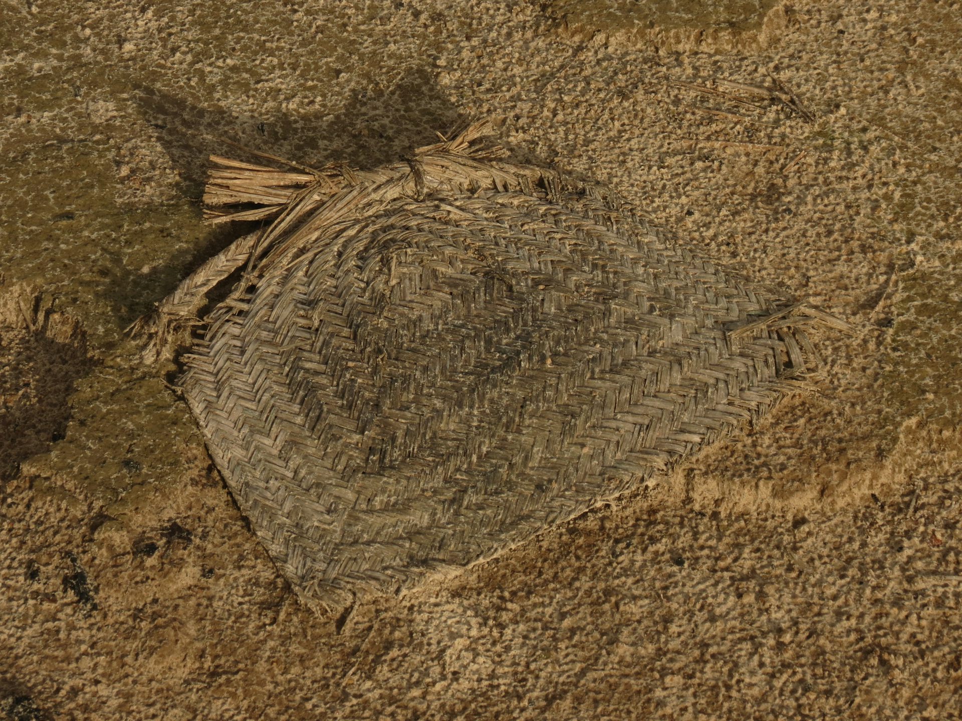 Foto mostra um leque de palha sobre o solo, Ele está velho e a palha parece se dissolver na terra