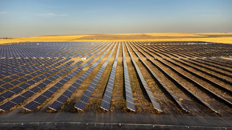 Image of a solar farm.