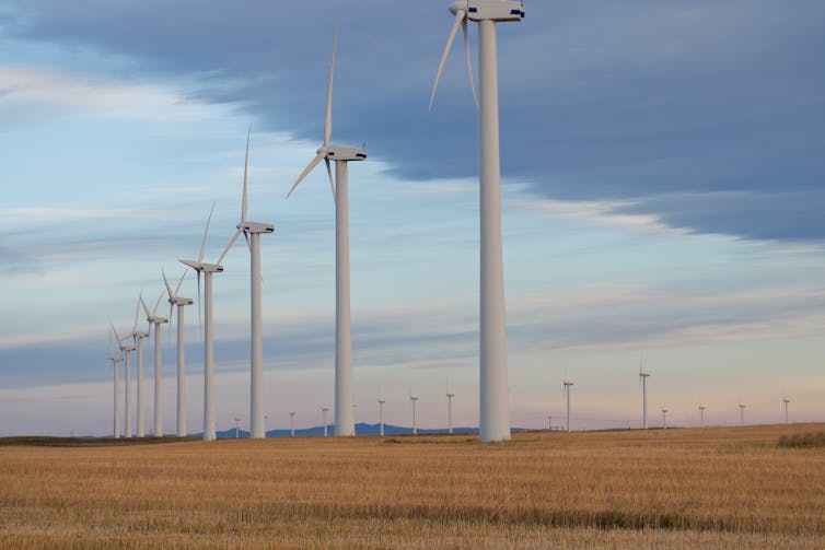 A wind farm is pictured.