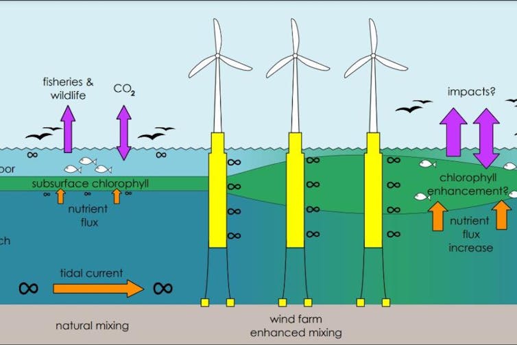 Diagram of floating wind turbines and ocean mixing