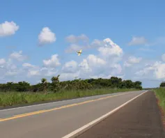 Foto mostra rodovia cercada por lavoura. No céu, vê-se um avião, que está pulverizando agrotóxicos