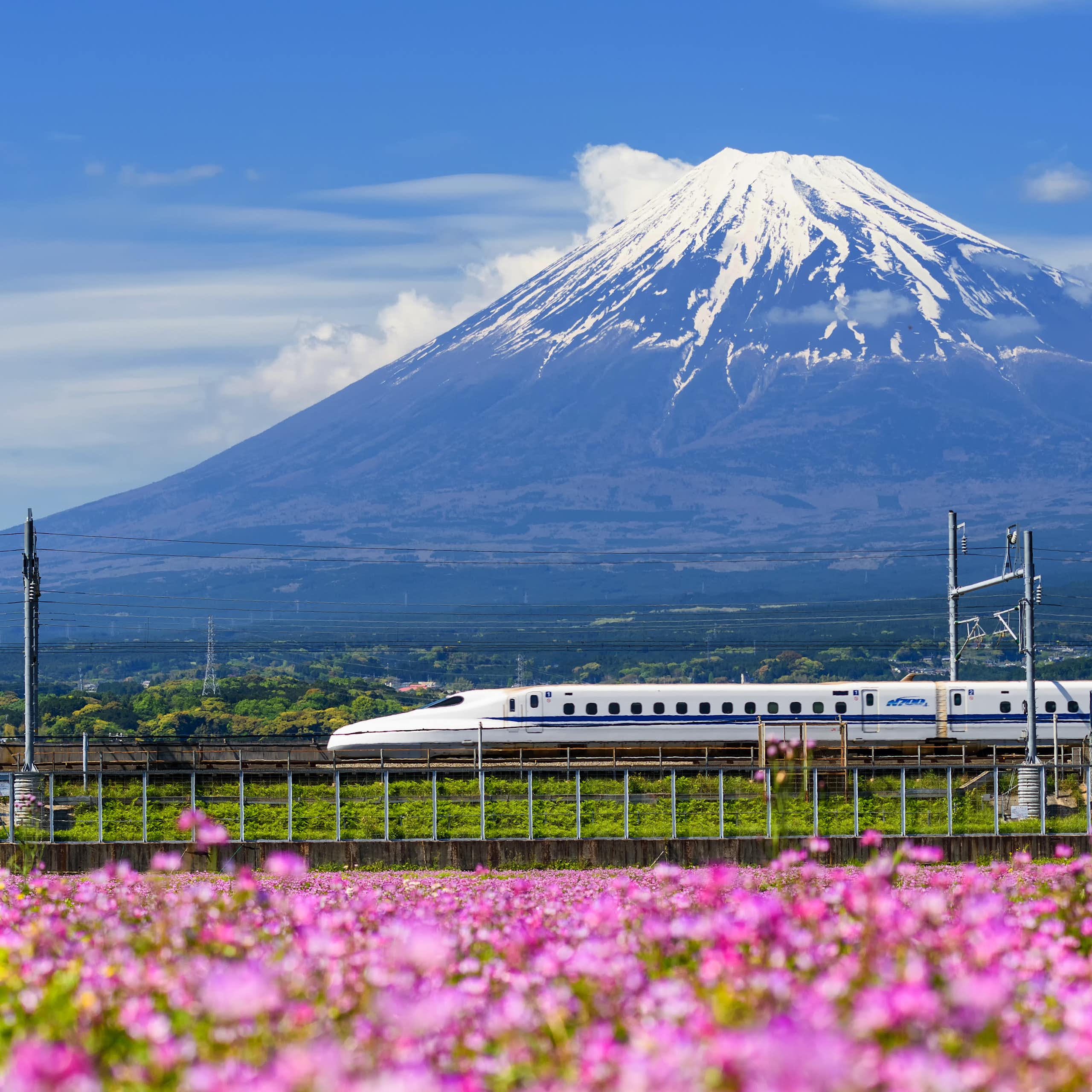 Shinkansen : les TGV japonais bientôt en perte de vitesse ?