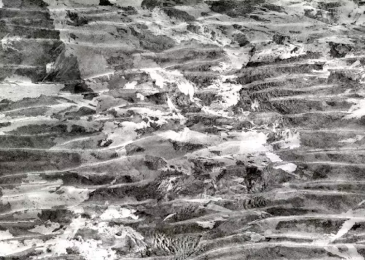 Old aerial photograph showing the patchwork of spinifex of different ages in the Great Sandy Desert