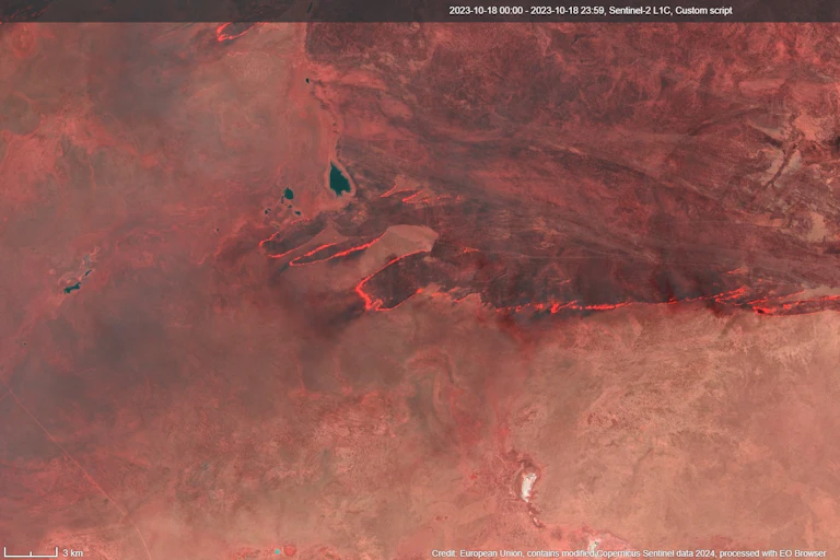 Satellite image showing large fires burning in the desert
