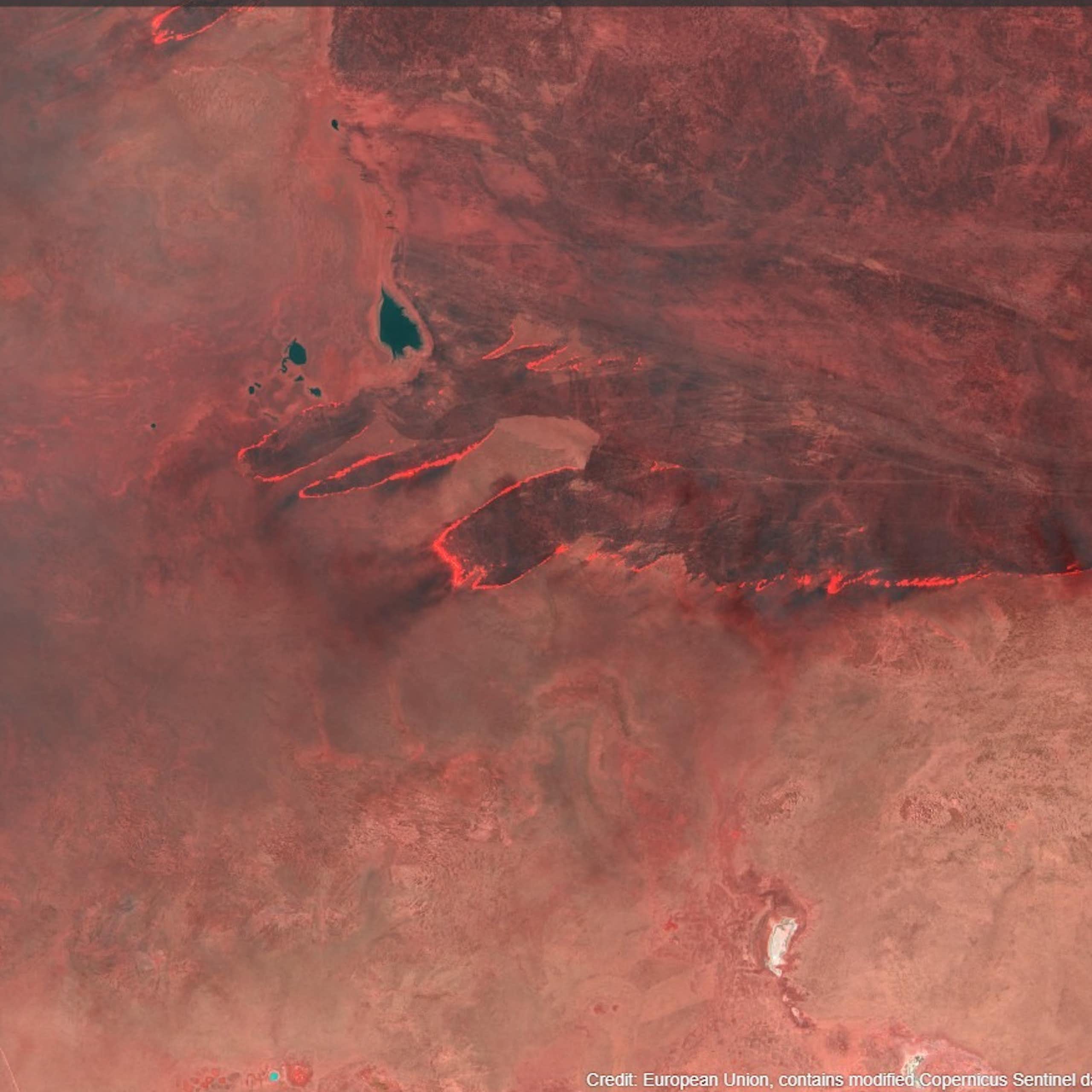 Satellite image showing large fires burning in the desert