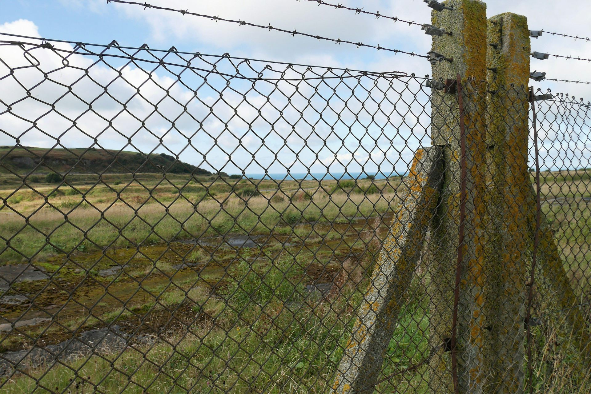 A field behind a wire fence.