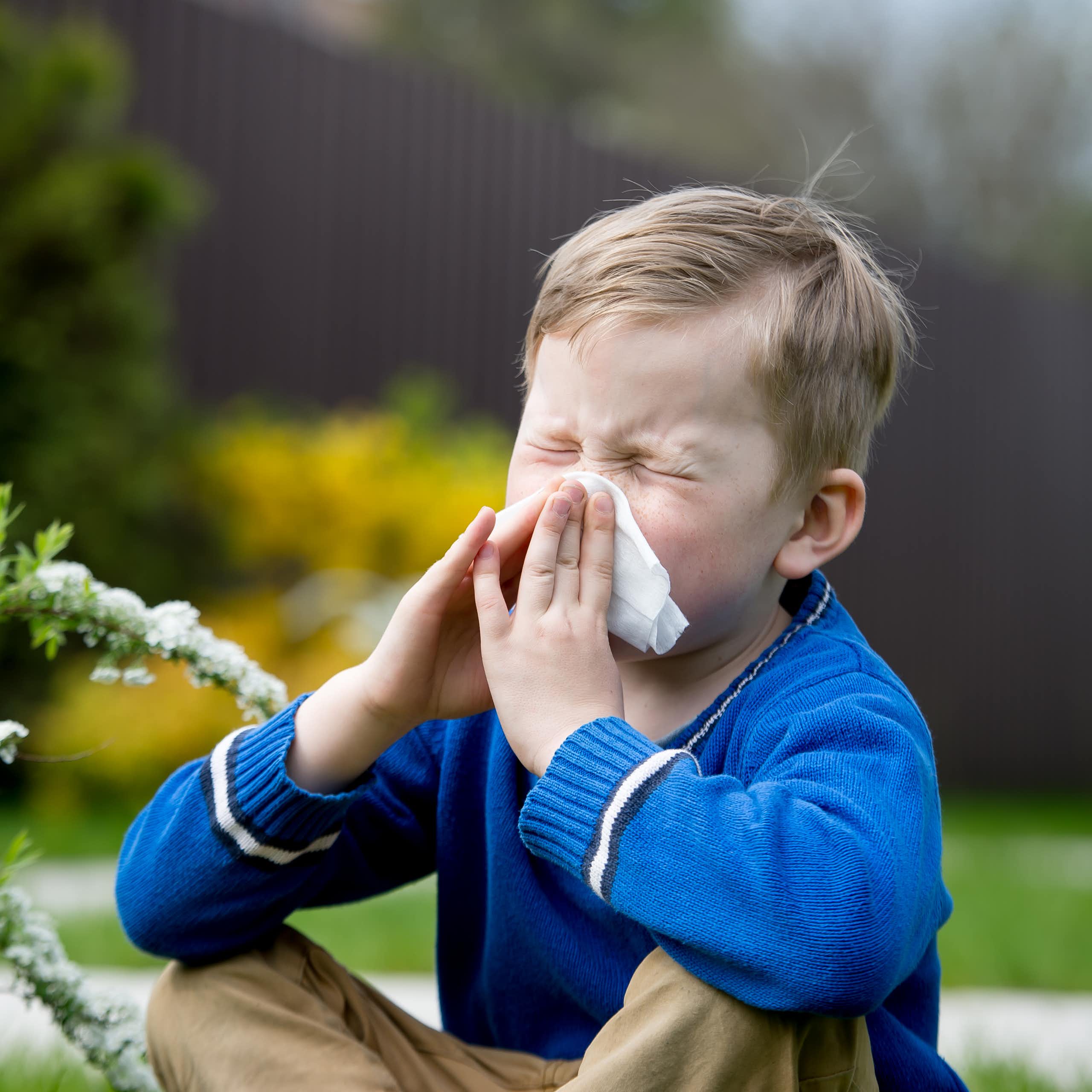 Por que as alergias estão aumentando? Uma chave pode estar na microbiota