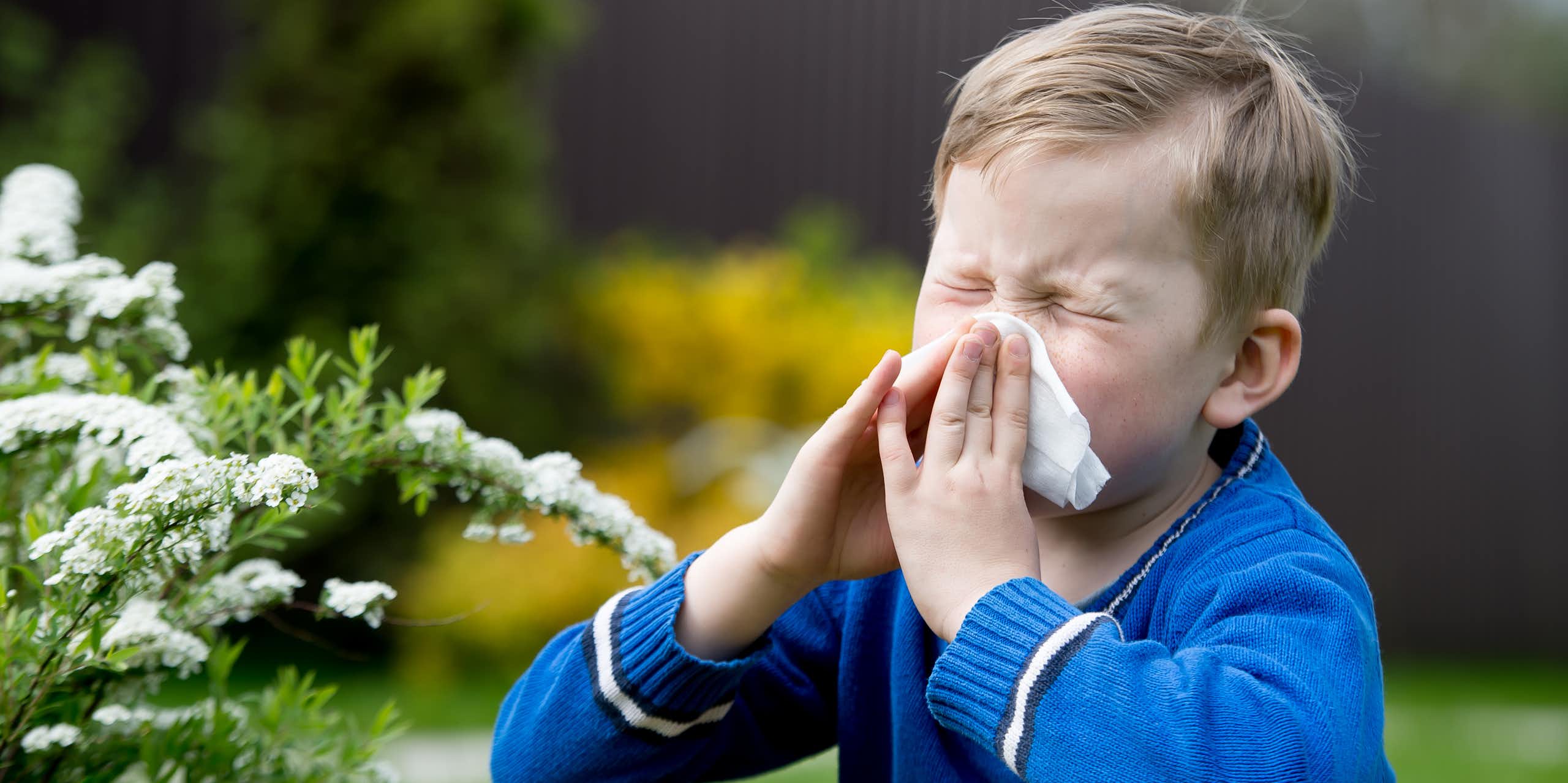 Por que as alergias estão aumentando? Uma chave pode estar na microbiota
