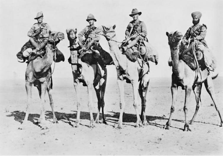 Australian, British, New Zealand and Indian soldiers on camels in Palestine during World War I.