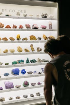 A person looking at a display of different kinds of rock.