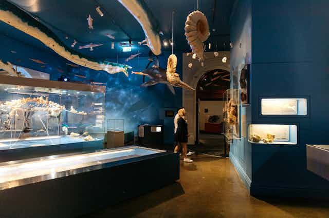 biodiversity research articles People walking though a museum exhibits with fossils in glass cases and models of animals handing from the ceiling.