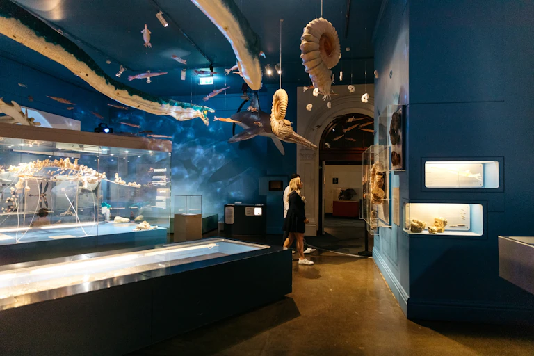 People walking though a museum exhibits with fossils in glass cases and models of animals handing from the ceiling.