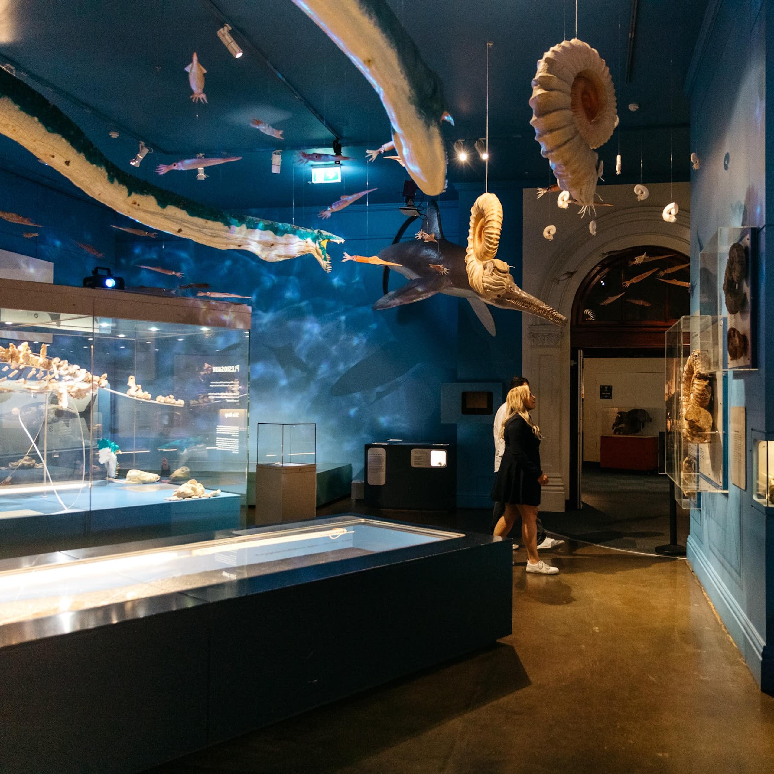 People walking though a museum exhibits with fossils in glass cases and models of animals handing from the ceiling.