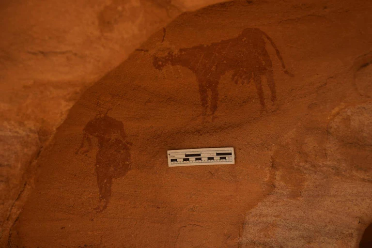Cattle rock art