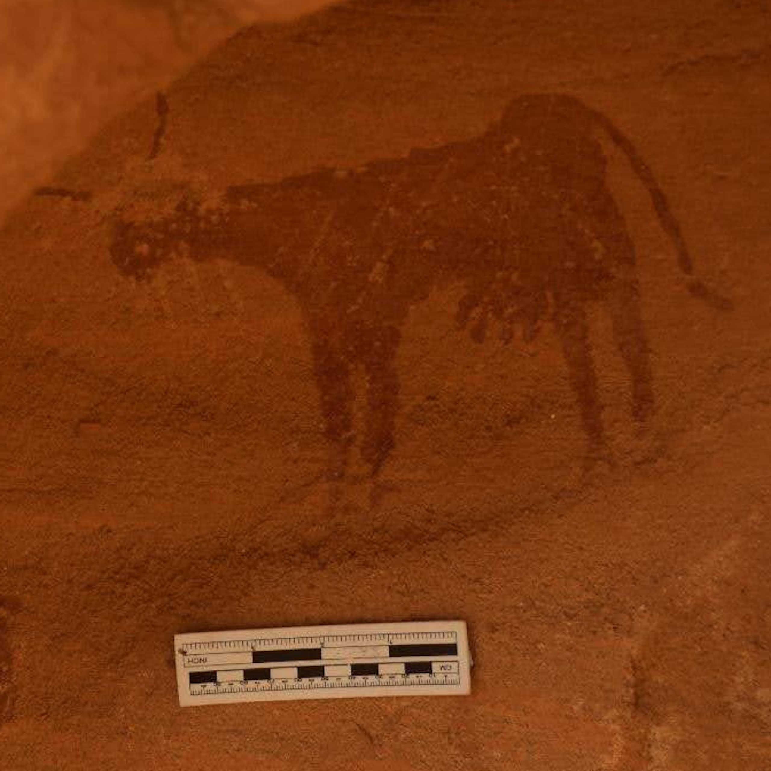Cattle rock art
