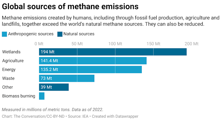 A chart showing global sources of methane emissions. Wetlands produce 194 Mt (metric tons). Agriculture produces 141.4 Mt. Energy produces 135.2 Mt. Waste produces 73 Mt. ‘Other’ produces 39 Mt. Biomass burning produces 7.3 Mt.