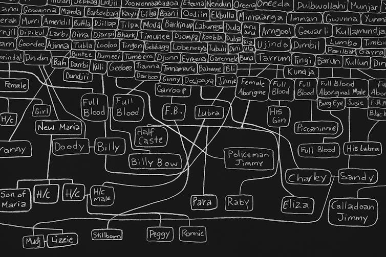 Chalk on black: a complicated family tree.