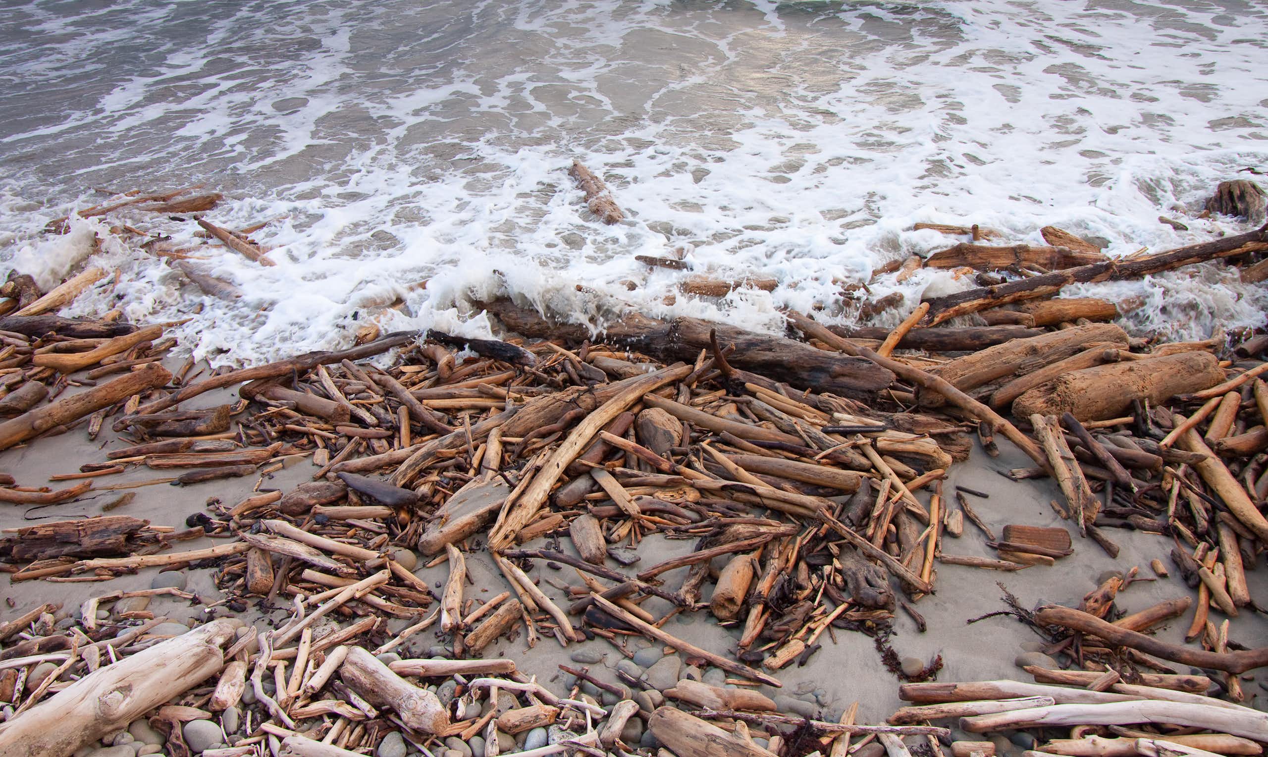 A beach strewn with forestry slash