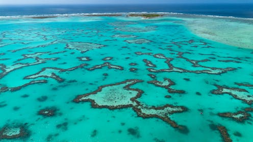 the unseen casualties of record-breaking heat on the Great Barrier Reef