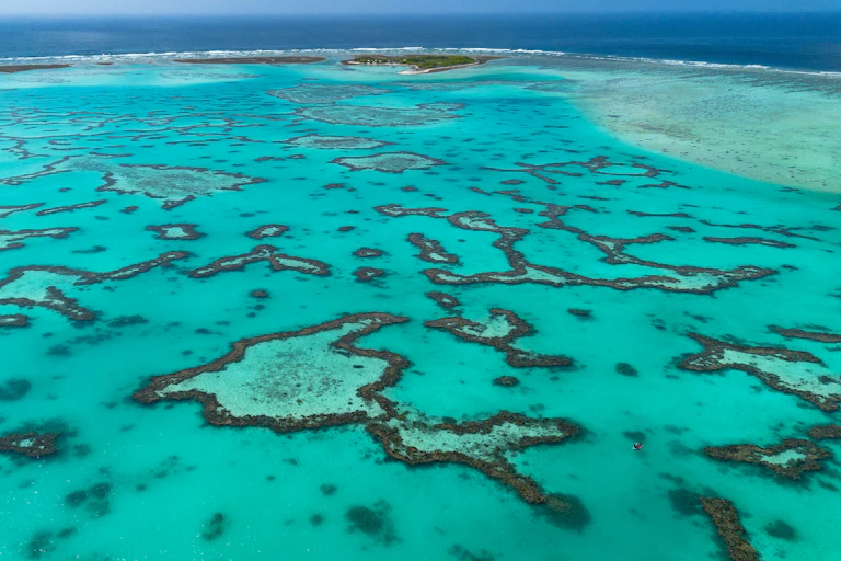 patches of reef and sand