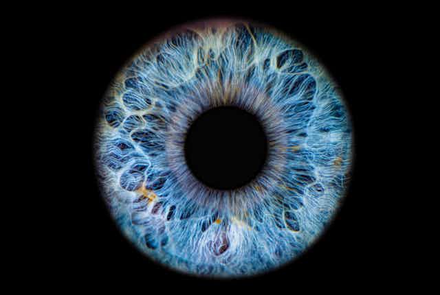 Close-up of pupil surrounded by blue iris