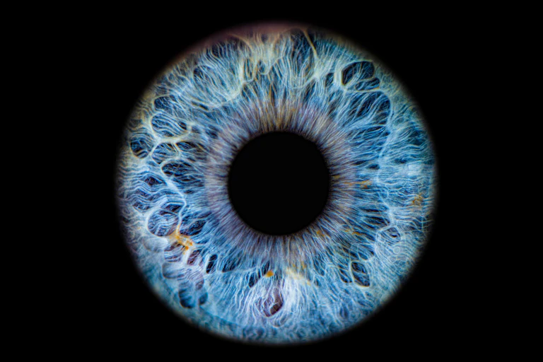 Close-up of pupil surrounded by blue iris