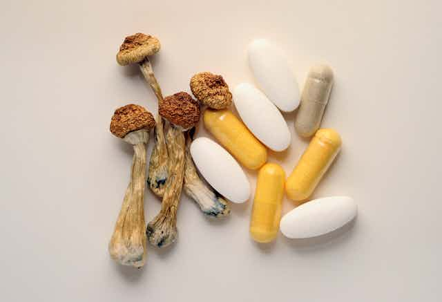 Dried psychedelic mushrooms and medication capsules