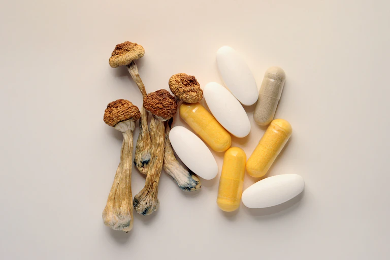 Dried psychedelic mushrooms and medication capsules