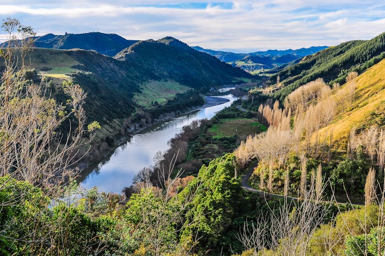 An aerial view of the Whanganui River.