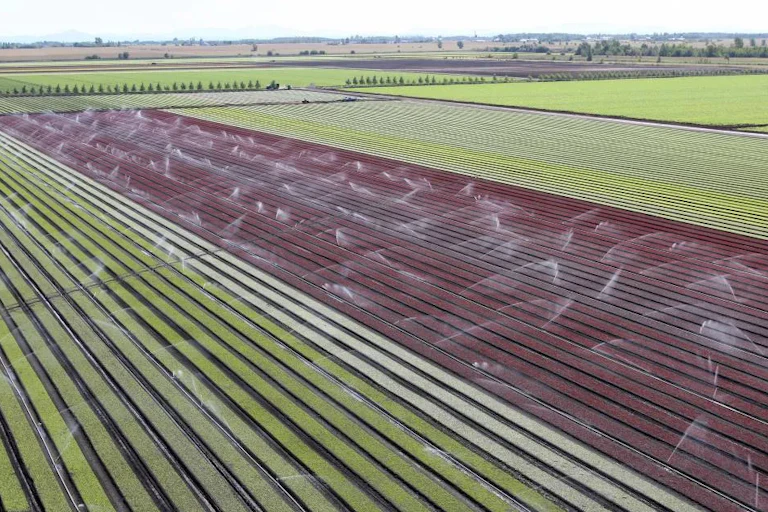 terre agricole