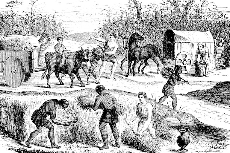 etching of people in ancient Roman garb harvesting grain and using oxen and horses