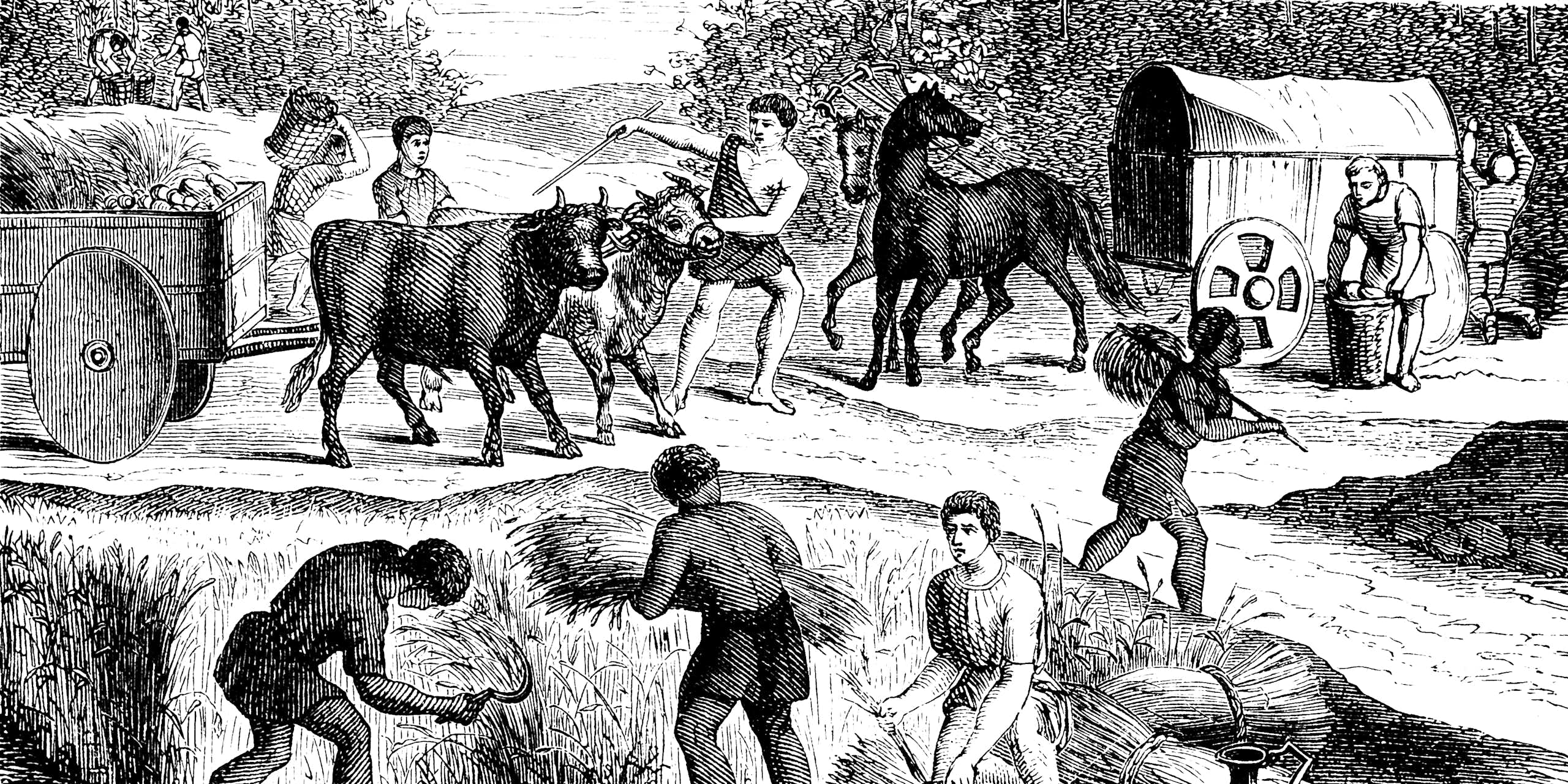 etching of people in ancient Roman garb harvesting grain and using oxen and horses