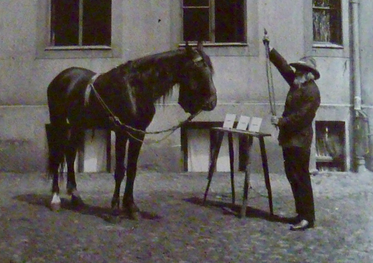Black and white photo of a horse with a man and a table in between with three upright cards on it.