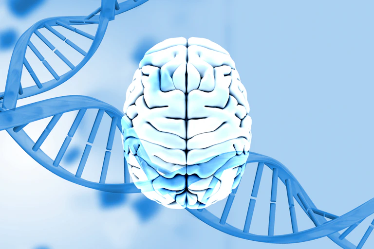 Top view of brain with DNA double helix