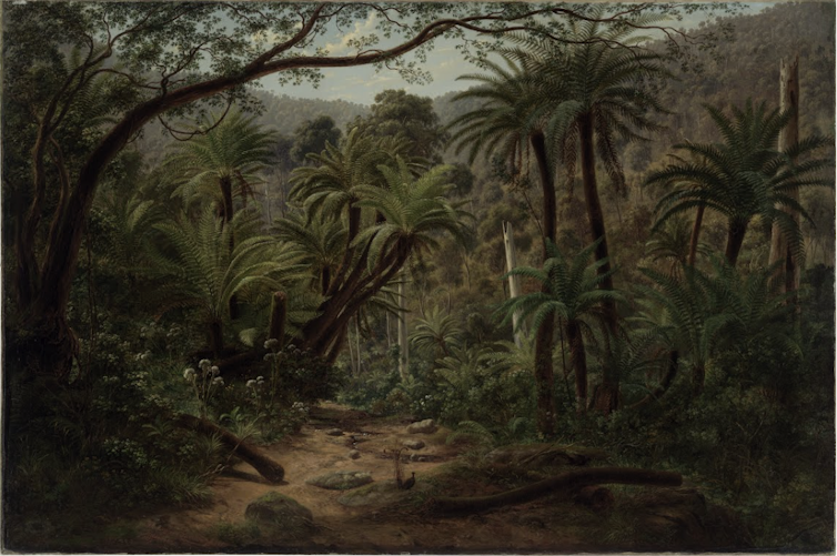 Colonial-era painting of forest of mountain ash and tree ferns by Eugene Von Guerard