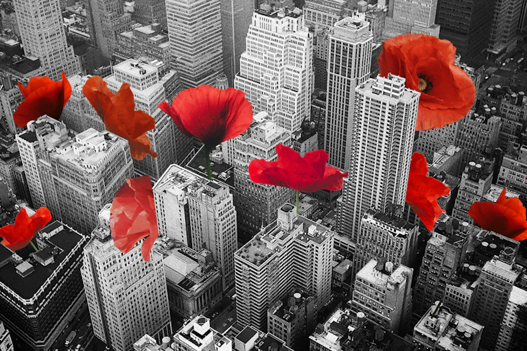 Composite image of an aerial shot of New York city with poppies growing out of the buildings