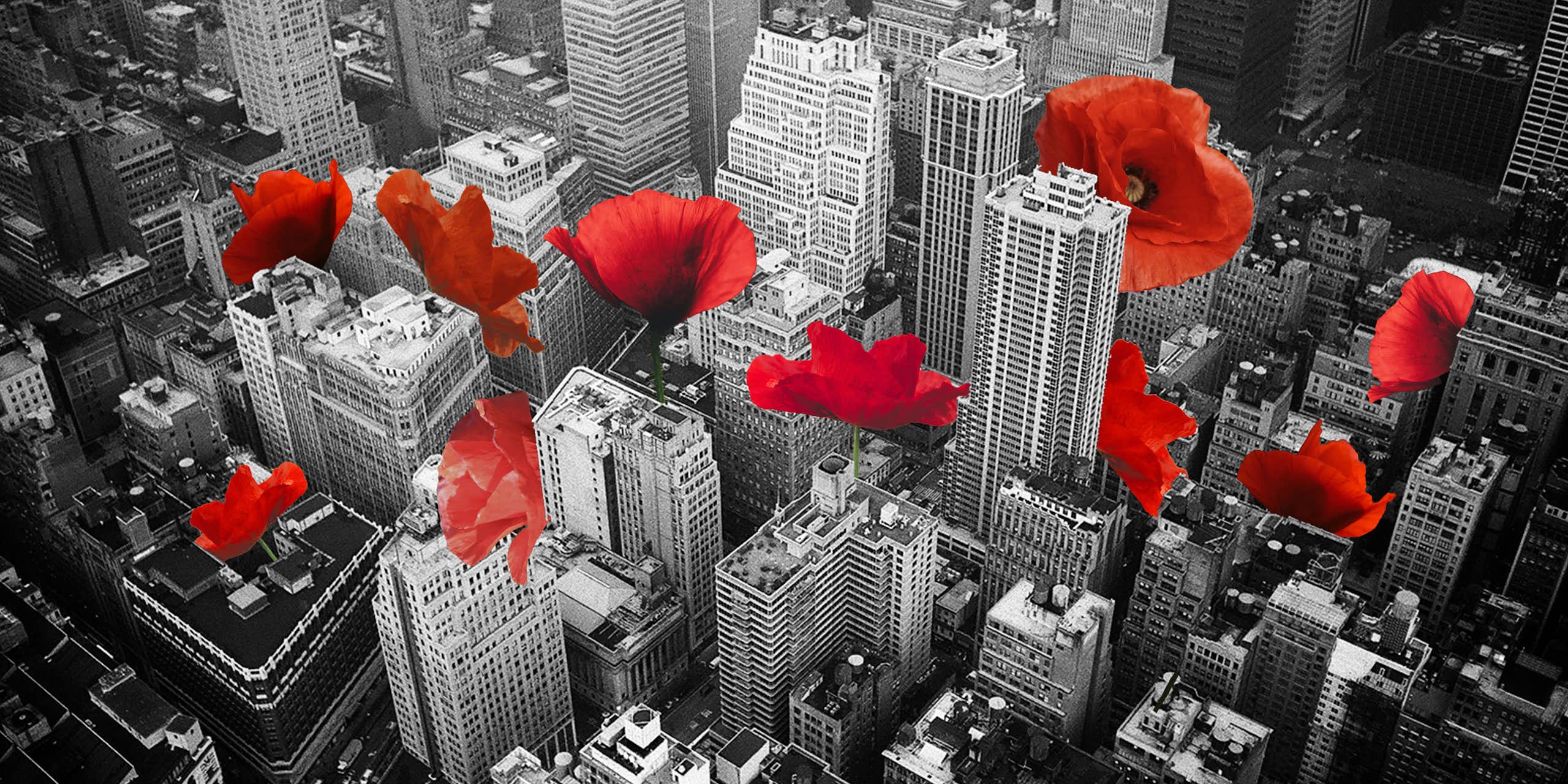 Composite image of an aerial shot of New York city with poppies growing out of the buildings