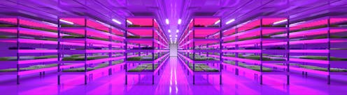 Four myths about vertical farming debunked by an expert