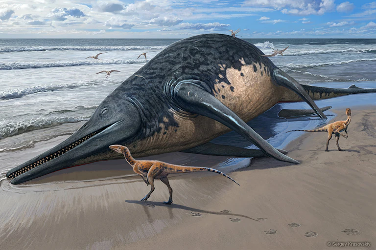 Un reptile marin géant sur la plage avec deux reptiles terrestres plus petits.