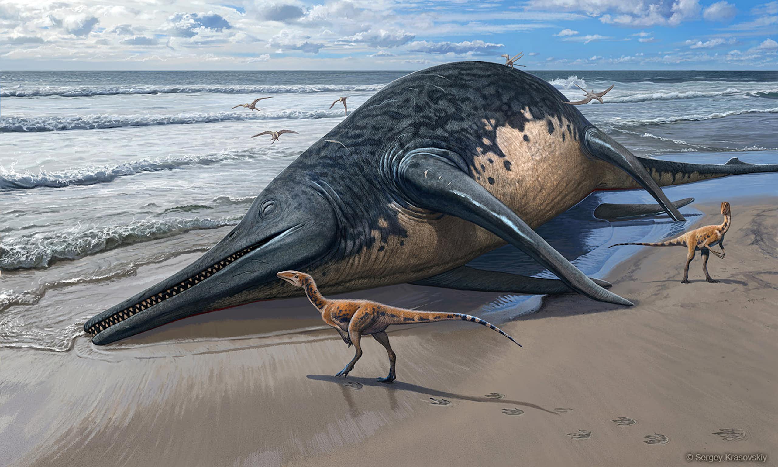 Un reptile marin géant sur la plage avec deux reptiles terrestres plus petits.